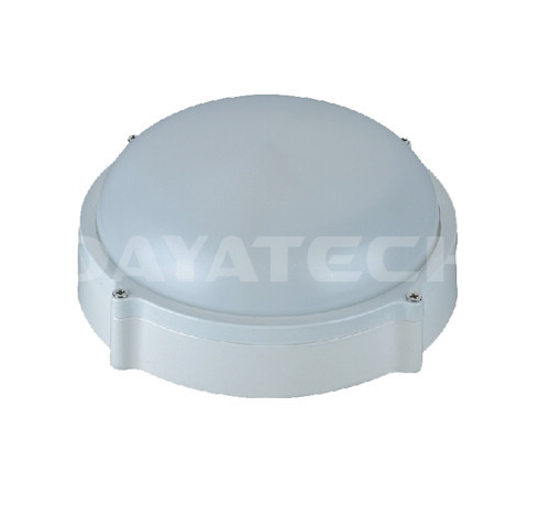 2W IP65 LED-buitenschot